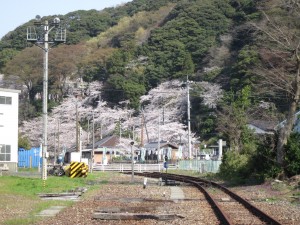 IMG_0027