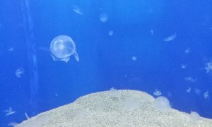2012-10-03 12.32.58